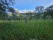 15566 JOSEPH TRAIL LOWER LAKE, CA 95457