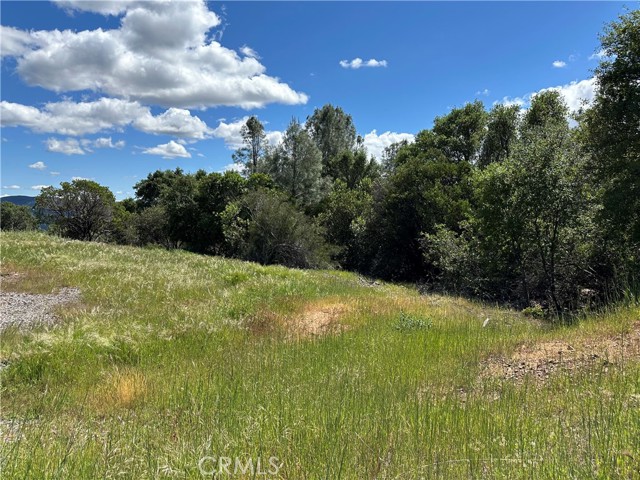 12361 CERRITO CLEARLAKE OAKS, CA 95423