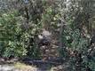 12361 CERRITO CLEARLAKE OAKS, CA 95423