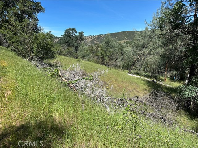 12939 HILL CLEARLAKE, CA 95422