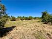 16395 DAM ROAD CLEARLAKE, CA 95422