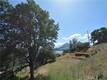 10417 TERRACE CLEARLAKE OAKS, CA 95423