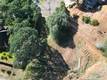 10417 TERRACE CLEARLAKE OAKS, CA 95423