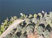 10417 TERRACE CLEARLAKE OAKS, CA 95423