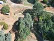 10417 TERRACE CLEARLAKE OAKS, CA 95423