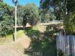 10417 TERRACE CLEARLAKE OAKS, CA 95423