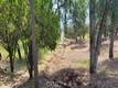16925 KNOWLVIEW DRIVE HIDDEN VALLEY LAKE, CA 95467