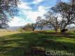 9816 VENTURI DRIVE COBB, CA 95426