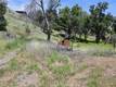 3168 OAK CREST CLEARLAKE, CA 95424