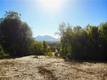 1985 BASTIAN COURT LAKEPORT, CA 95453
