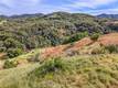2053 MARTIN LAKEPORT, CA 95453