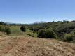 2053 MARTIN LAKEPORT, CA 95453