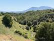 2053 MARTIN LAKEPORT, CA 95453