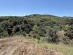 2053 MARTIN LAKEPORT, CA 95453