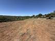 2053 MARTIN LAKEPORT, CA 95453