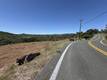2053 MARTIN LAKEPORT, CA 95453