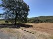 2053 MARTIN LAKEPORT, CA 95453
