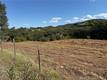 2053 MARTIN LAKEPORT, CA 95453