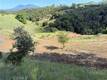 2053 MARTIN LAKEPORT, CA 95453