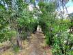 3385 12TH CLEARLAKE, CA 95422