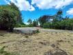 3385 12TH CLEARLAKE, CA 95422