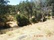 15466 PALM AVENUE CLEARLAKE, CA 95422