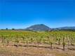 8179 HIGHWAY 29 LOWER LAKE, CA 95457