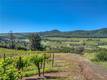 8179 HIGHWAY 29 LOWER LAKE, CA 95457