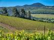 8179 HIGHWAY 29 LOWER LAKE, CA 95457