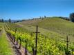 8179 HIGHWAY 29 LOWER LAKE, CA 95457