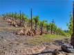 8179 HIGHWAY 29 LOWER LAKE, CA 95457