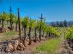 8179 HIGHWAY 29 LOWER LAKE, CA 95457