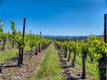 8179 HIGHWAY 29 LOWER LAKE, CA 95457