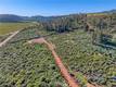 8179 HIGHWAY 29 LOWER LAKE, CA 95457