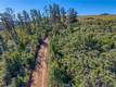 8179 HIGHWAY 29 LOWER LAKE, CA 95457