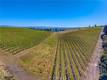 8179 HIGHWAY 29 LOWER LAKE, CA 95457