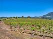 8179 HIGHWAY 29 LOWER LAKE, CA 95457