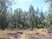9072 FOX DRIVE COBB, CA 95426