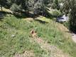 3630 WESTRIDGE COURT KELSEYVILLE, CA 95451