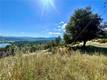 18716 FERNWOOD HIDDEN VALLEY LAKE, CA 95467