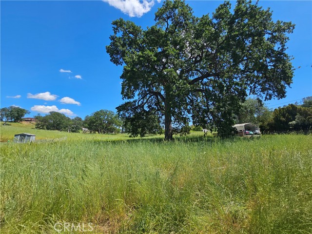 16440 ROSE LOWER LAKE, CA 95457