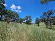 16440 ROSE LOWER LAKE, CA 95457