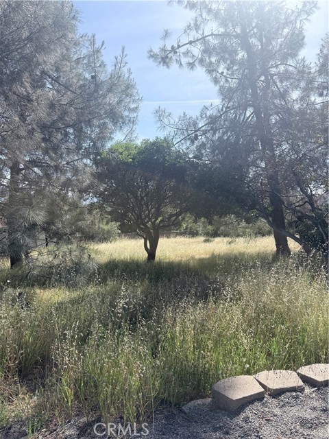 19303 RAVENHILL HIDDEN VALLEY LAKE, CA 95467