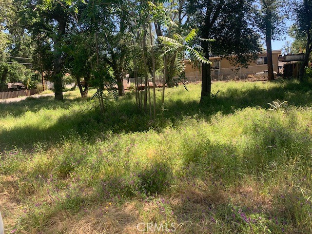 14245 WOODLAND CLEARLAKE, CA 95422
