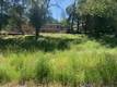 14245 WOODLAND CLEARLAKE, CA 95422