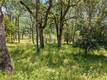 8239 LITTLE BORAX LAKE RD KELSEYVILLE, CA 95451