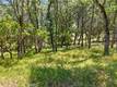 8239 LITTLE BORAX LAKE RD KELSEYVILLE, CA 95451