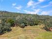 8239 LITTLE BORAX LAKE RD KELSEYVILLE, CA 95451