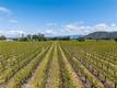 4500 CLARK KELSEYVILLE, CA 95451