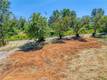 475 SHANNON LANE LAKEPORT, CA 95453